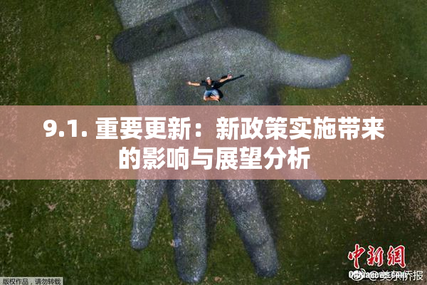 9.1. 重要更新：新政策实施带来的影响与展望分析