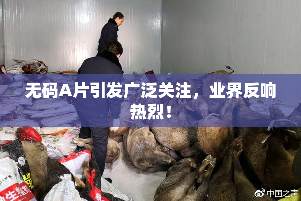 无码A片引发广泛关注，业界反响热烈！