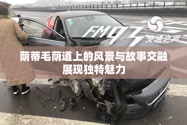荫蒂毛荫道上的风景与故事交融展现独特魅力