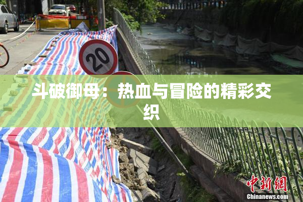 斗破御母：热血与冒险的精彩交织