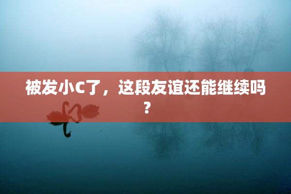 被发小C了，这段友谊还能继续吗？