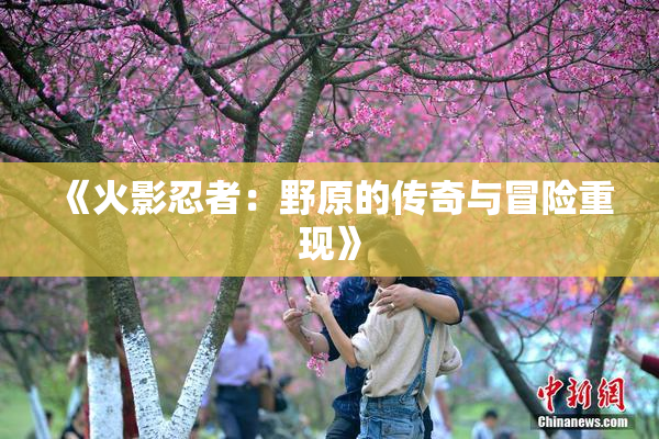 《火影忍者：野原的传奇与冒险重现》