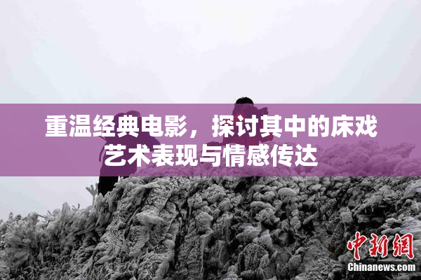 重温经典电影，探讨其中的床戏艺术表现与情感传达