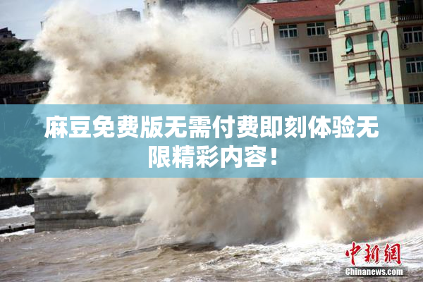麻豆免费版无需付费即刻体验无限精彩内容！