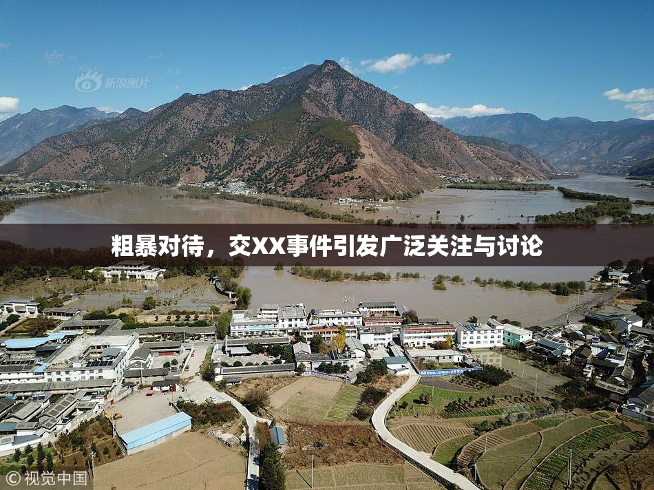 粗暴对待，交XX事件引发广泛关注与讨论
