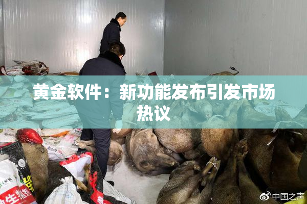 黄金软件：新功能发布引发市场热议