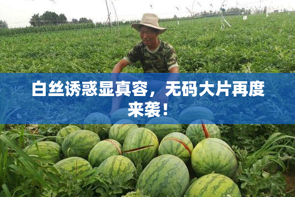 白丝诱惑显真容，无码大片再度来袭！