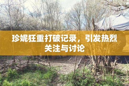 珍妮狂重打破记录，引发热烈关注与讨论