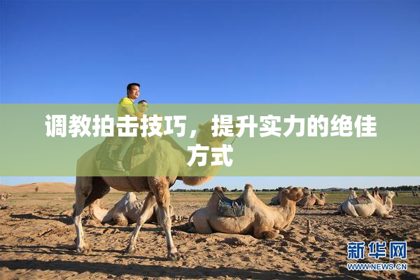 调教拍击技巧，提升实力的绝佳方式