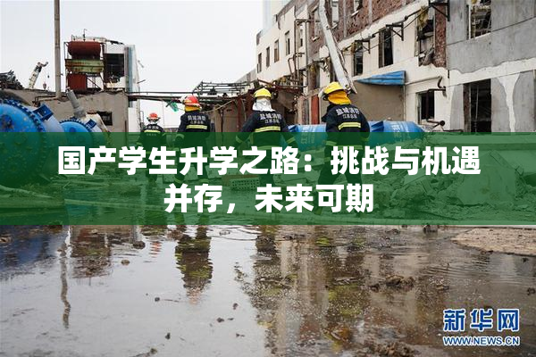 国产学生升学之路：挑战与机遇并存，未来可期