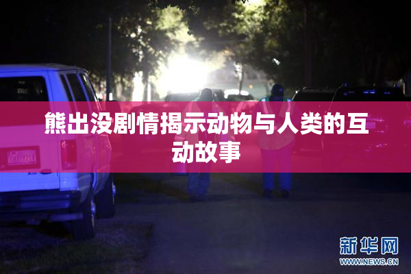 熊出没剧情揭示动物与人类的互动故事