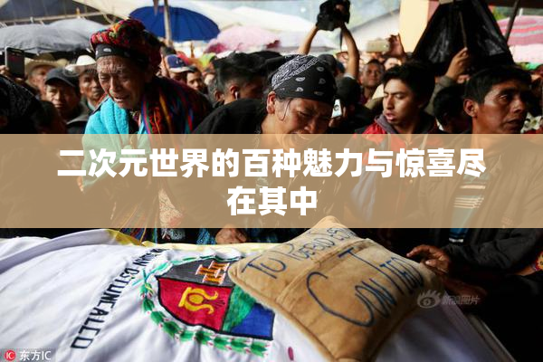 二次元世界的百种魅力与惊喜尽在其中