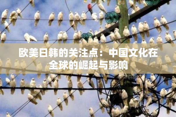 欧美日韩的关注点：中国文化在全球的崛起与影响