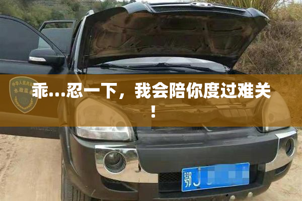 乖…忍一下，我会陪你度过难关！