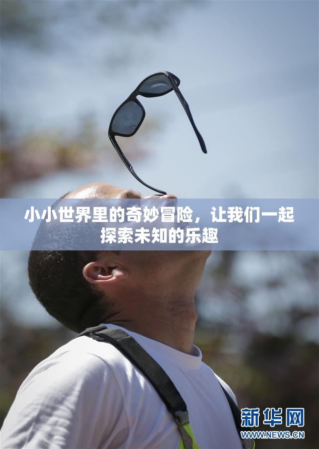 小小世界里的奇妙冒险，让我们一起探索未知的乐趣