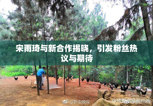 宋雨琦与新合作揭晓，引发粉丝热议与期待