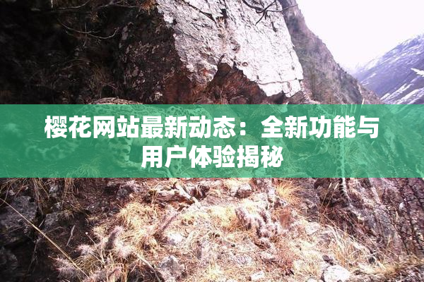 樱花网站最新动态：全新功能与用户体验揭秘