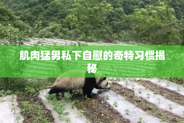 肌肉猛男私下自慰的奇特习惯揭秘