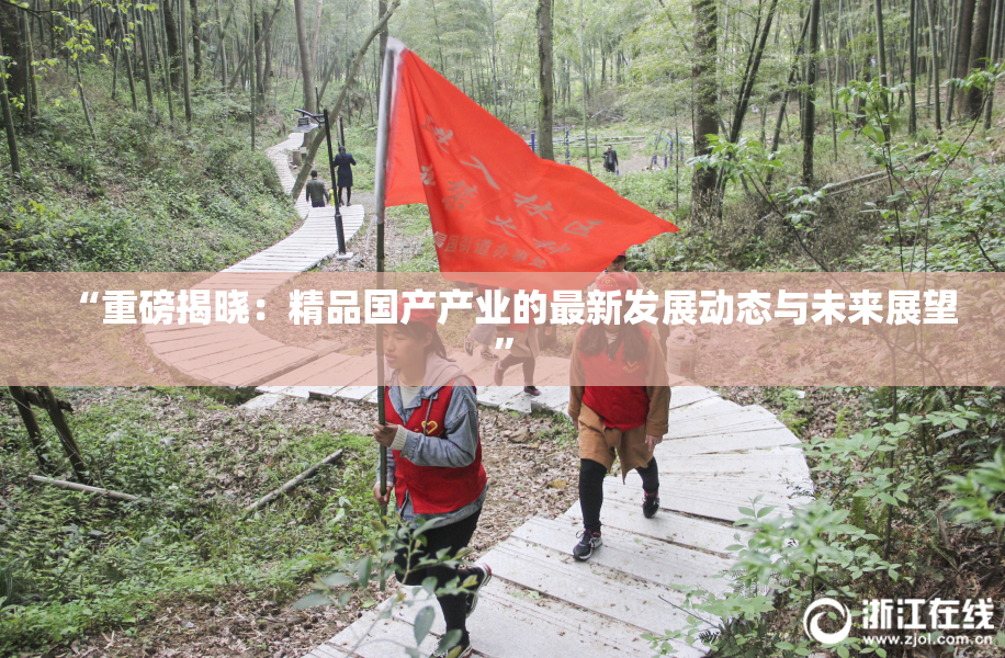 “重磅揭晓：精品国产产业的最新发展动态与未来展望”