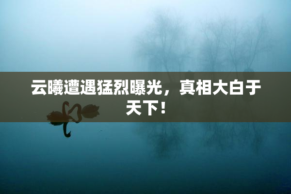 云曦遭遇猛烈曝光，真相大白于天下！
