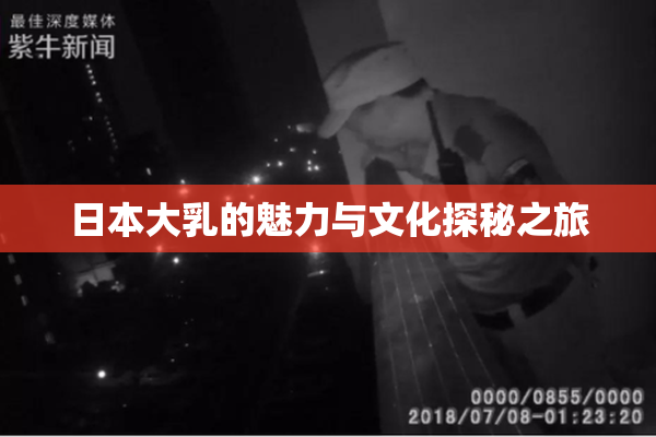 日本大乳的魅力与文化探秘之旅