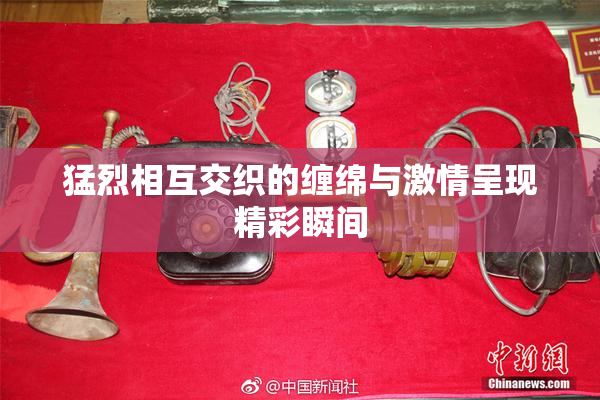 猛烈相互交织的缠绵与激情呈现精彩瞬间