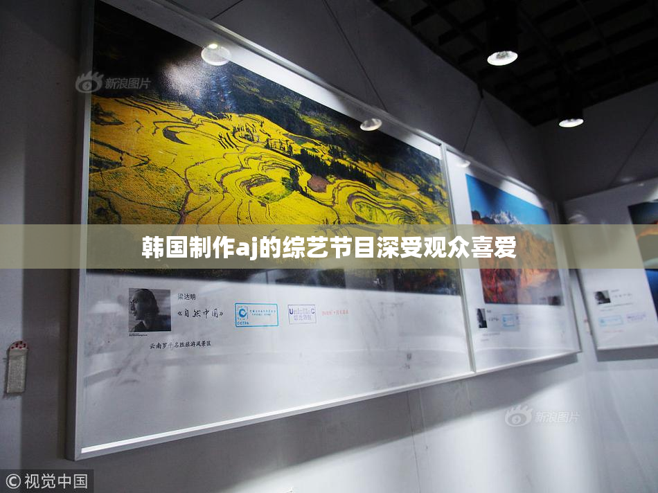 韩国制作aj的综艺节目深受观众喜爱