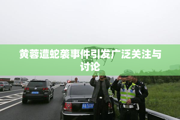黄蓉遭蛇袭事件引发广泛关注与讨论