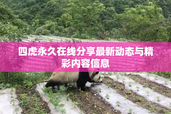 四虎永久在线分享最新动态与精彩内容信息