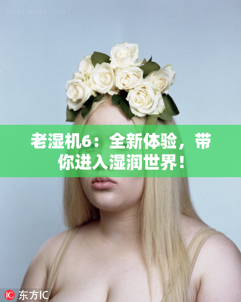 老湿机6：全新体验，带你进入湿润世界！
