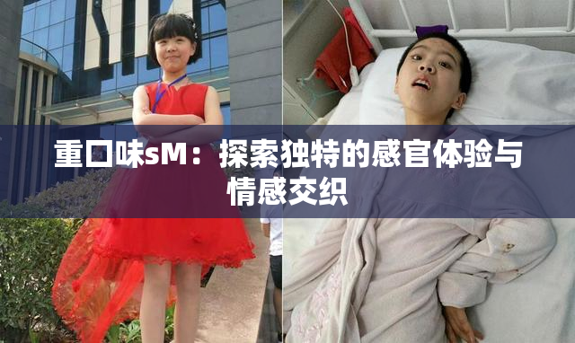 重囗味sM：探索独特的感官体验与情感交织
