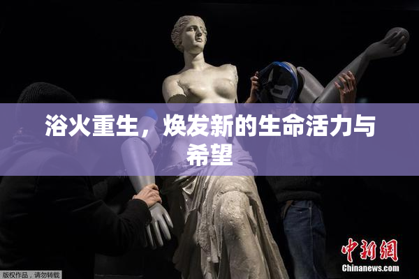 浴火重生，焕发新的生命活力与希望