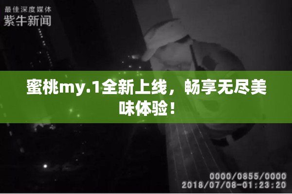 蜜桃my.1全新上线，畅享无尽美味体验！
