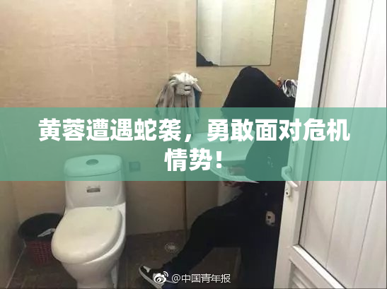 黄蓉遭遇蛇袭，勇敢面对危机情势！