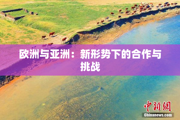 欧洲与亚洲：新形势下的合作与挑战