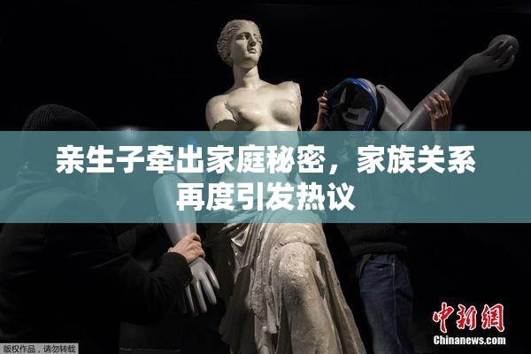 亲生子牵出家庭秘密，家族关系再度引发热议