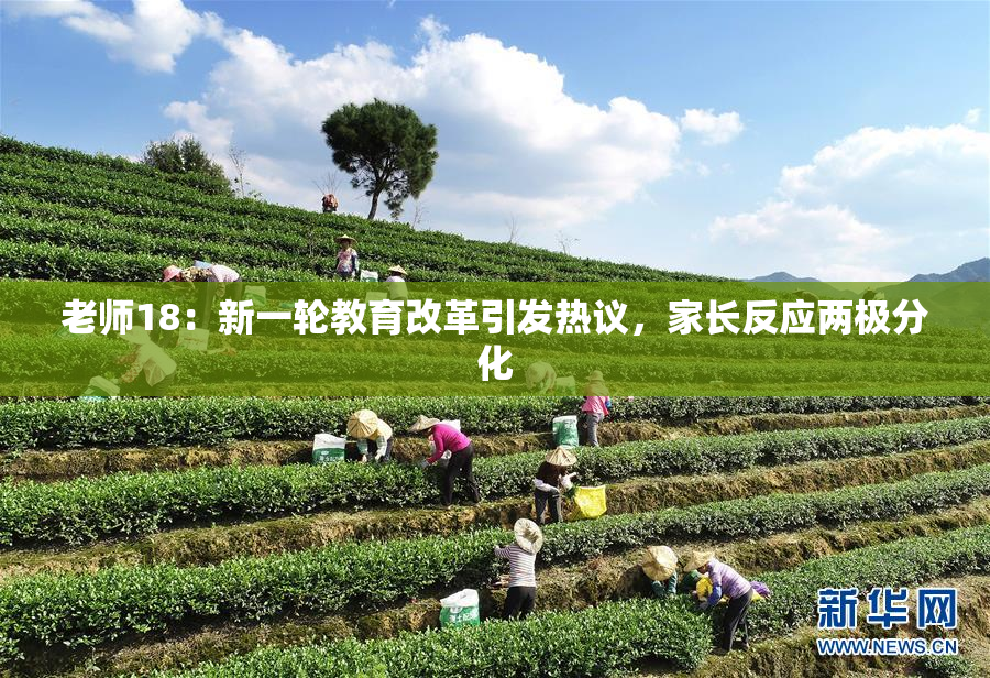 老师18：新一轮教育改革引发热议，家长反应两极分化
