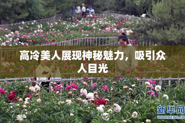 高冷美人展现神秘魅力，吸引众人目光