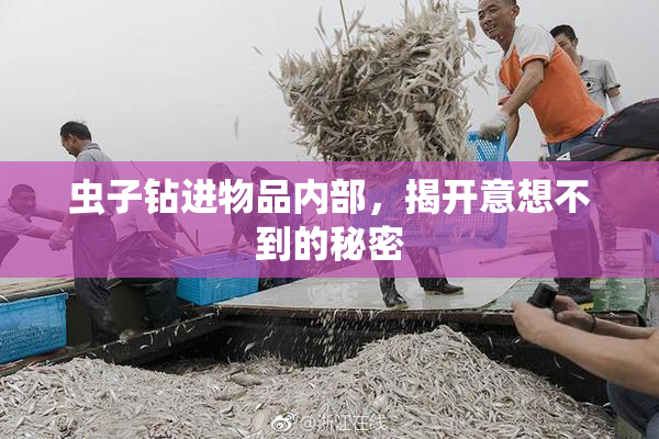 虫子钻进物品内部，揭开意想不到的秘密