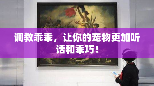 调教乖乖，让你的宠物更加听话和乖巧！