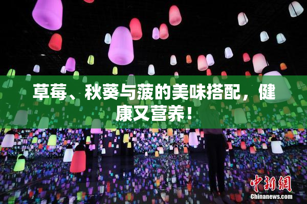 草莓、秋葵与菠的美味搭配，健康又营养！