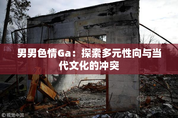 男男色情Ga：探索多元性向与当代文化的冲突