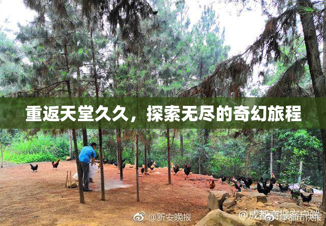 重返天堂久久，探索无尽的奇幻旅程