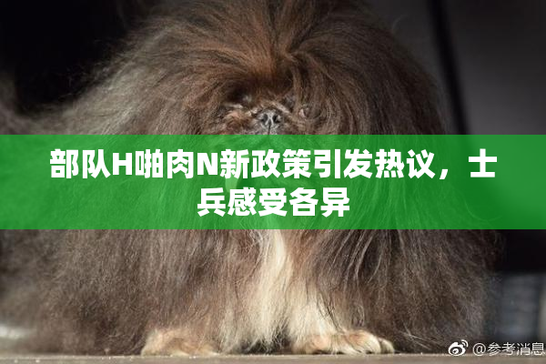 部队H啪肉N新政策引发热议，士兵感受各异