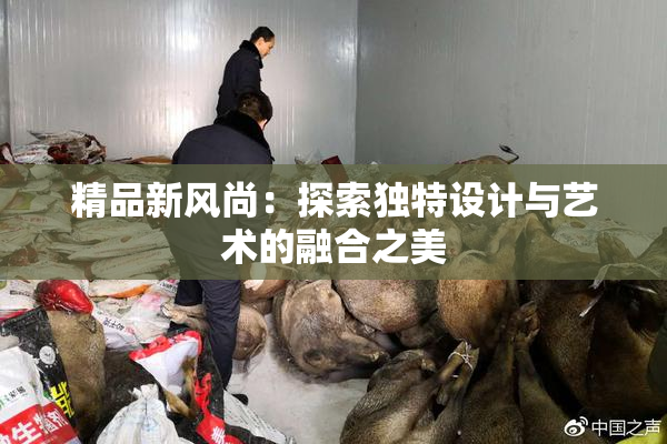 精品新风尚：探索独特设计与艺术的融合之美