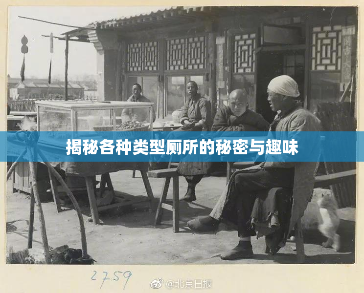揭秘各种类型厕所的秘密与趣味