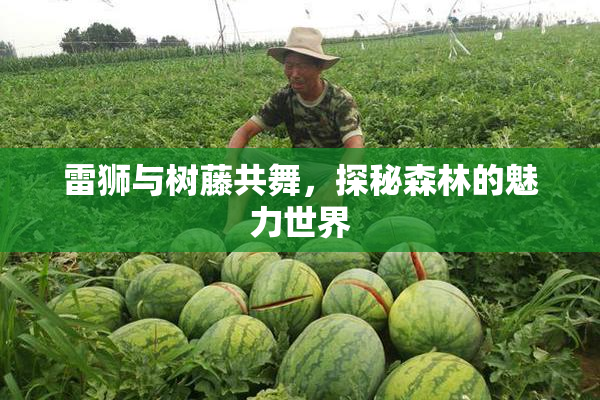 雷狮与树藤共舞，探秘森林的魅力世界