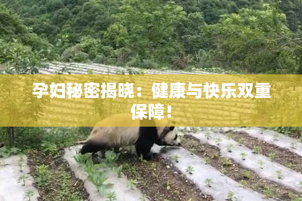孕妇秘密揭晓：健康与快乐双重保障！