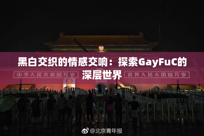 黑白交织的情感交响：探索GayFuC的深层世界