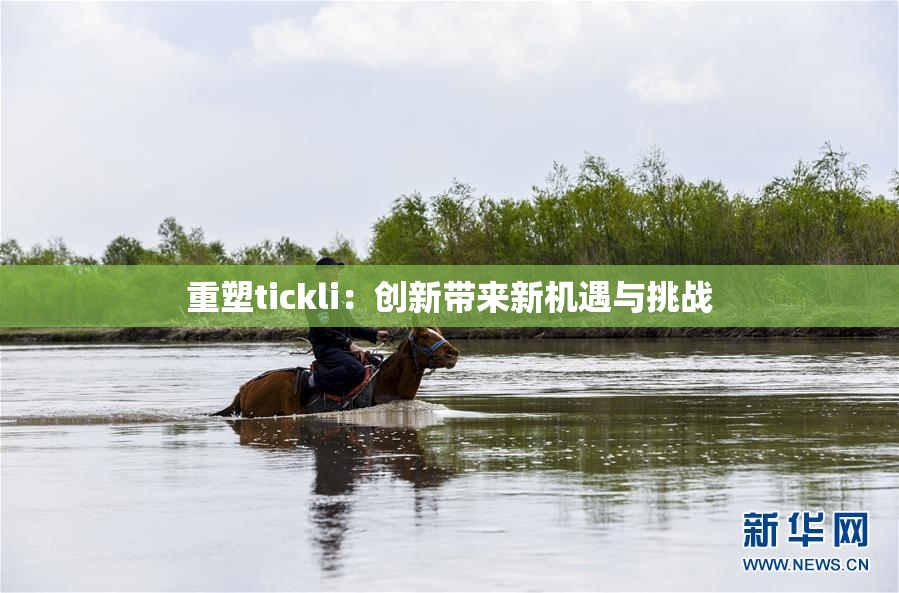 重塑tickli：创新带来新机遇与挑战